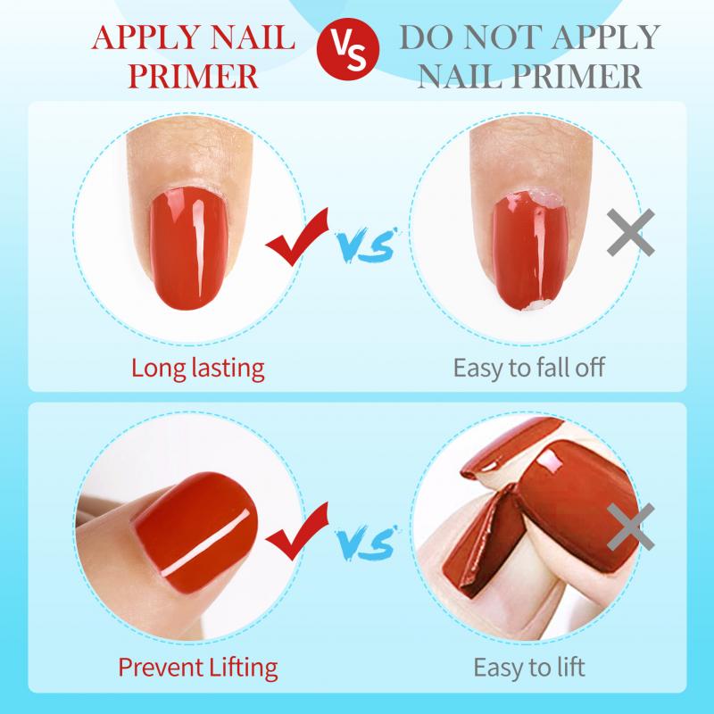 Born bonito desidratador de pr - Nail Dehydrator Primer avaliação e preço